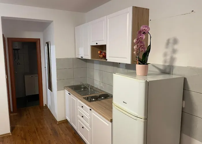 Apartments Holiday Gavric